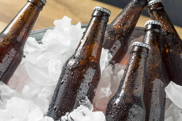 Bottiglie Birra Fredda Ghiacciata Dispositivo Raffreddamento Con Ghiaccio — Foto Stock