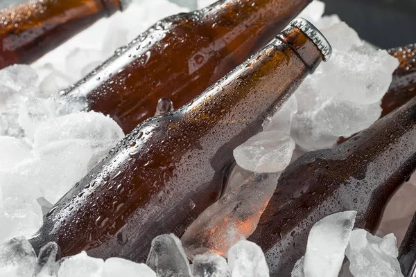 Холодний Крижані Пивних Пляшок Кулер Льодом — стокове фото