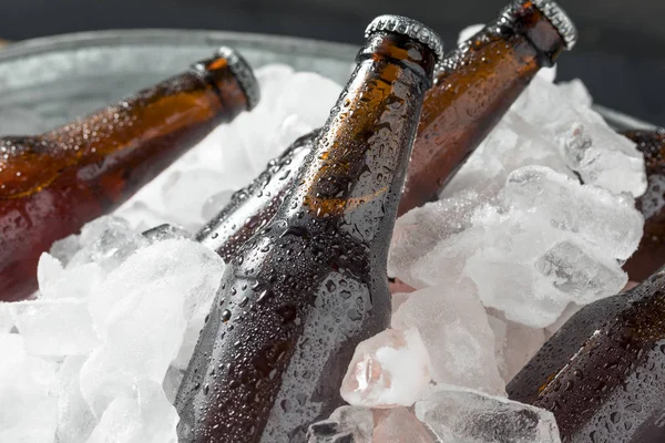 Cold Icy Beer Bottles in a Cooler with Ice