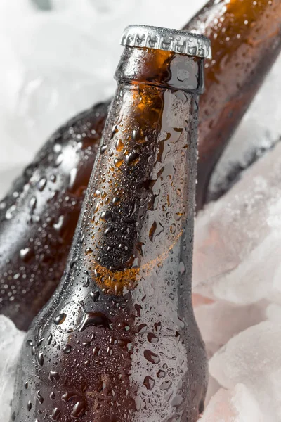 Garrafas Cerveja Gelada Refrigerador Com Gelo — Fotografia de Stock