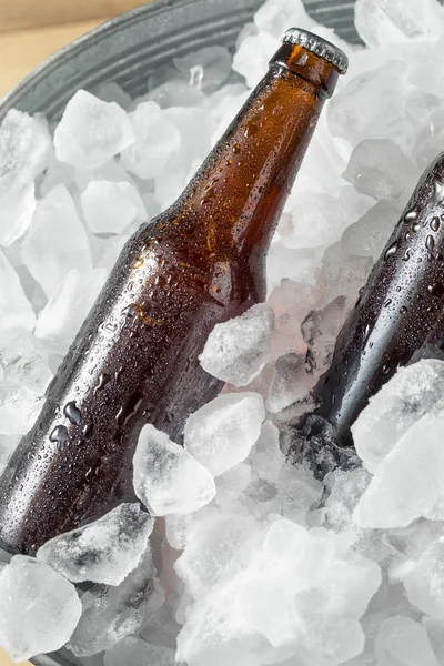 Cold Icy Beer Bottles in a Cooler with Ice