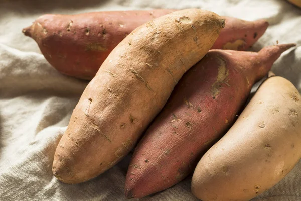 Raw Organic Assorted Sweet Potatoes Ready Cook — Stock Photo, Image