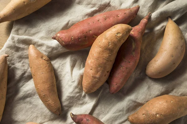 Raw Organic Assorted Sweet Potatoes Ready Cook — Stock Photo, Image