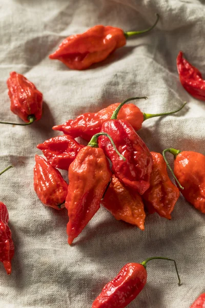 Pimenta Spicy Orgânica Crua Jolokia Ghost Peppers Pronto Para Cozinhar — Fotografia de Stock
