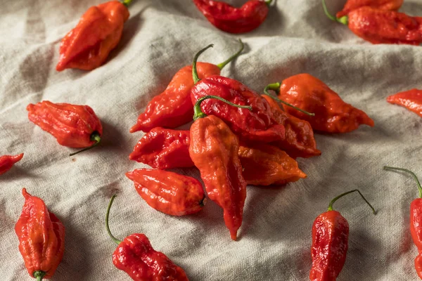 Pimenta Spicy Orgânica Crua Jolokia Ghost Peppers Pronto Para Cozinhar — Fotografia de Stock