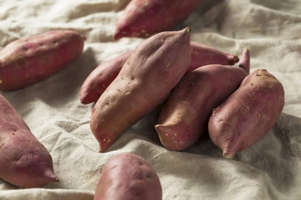 Çiğ kırmızı organik Japon tatlı patates tatlı patates