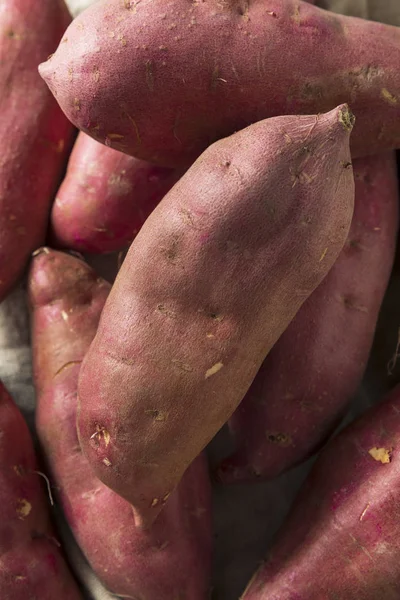 Raw Czerwony Organicznych Japoński Ignamy Słodkie Ziemniaki — Zdjęcie stockowe