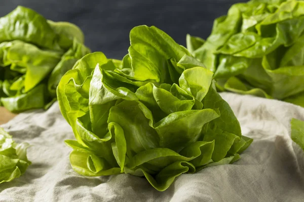 Raw Green Organic Butter Lettuce Ready to Eat