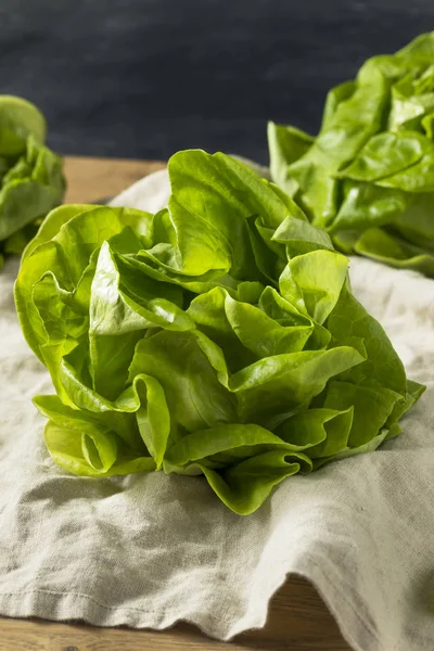 Raw Green Organic Butter Lettuce Ready to Eat