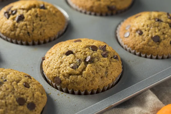 Sweet Homemade Chocolate Pumpkin Muffins Ready Eat — Stock Photo, Image