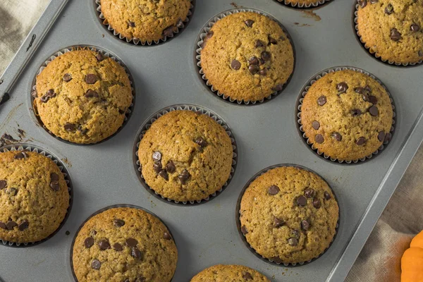 Muffins Citrouille Chocolat Maison Sucrés Prêts Manger — Photo