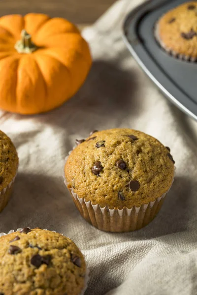 Muffins Citrouille Chocolat Maison Sucrés Prêts Manger — Photo