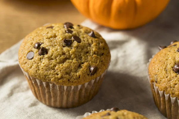 Muffins Citrouille Chocolat Maison Sucrés Prêts Manger — Photo