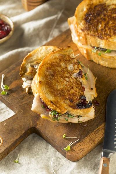 Hemmagjord Thanksgiving Turkiet Panini Med Ost Och Tranbärssås — Stockfoto