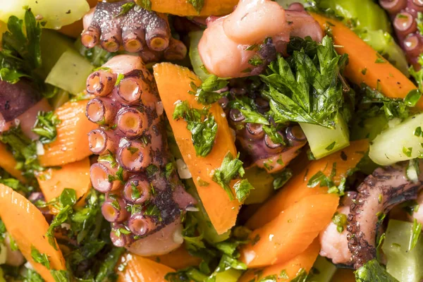 Octopus Salad Dengan Sayuran Dan Dressing — Stok Foto