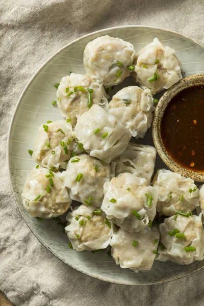 Caseiro Porco Shu Mai Dumplings Com Molho Mergulho — Fotografia de Stock