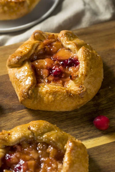 Zoete Zelfgemaakte Apple Cranberry Taart Klaar Eten — Stockfoto