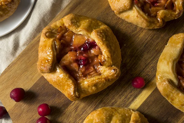 Zoete Zelfgemaakte Apple Cranberry Taart Klaar Eten — Stockfoto