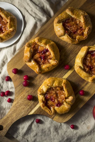 Zoete Zelfgemaakte Apple Cranberry Taart Klaar Eten — Stockfoto