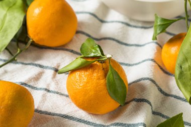 Yeşil yaprakları ile ham organik Mandarin Portakal