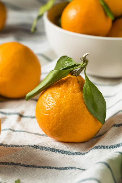 Raw Organic Mandarin Oranges Green Leaves — Stock Photo, Image