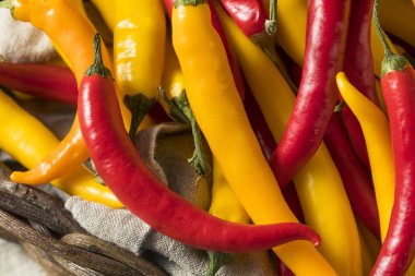 Bir sepet içinde organik çeşitli baharatlı sıcak biber