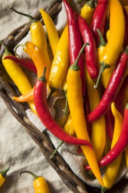 Bir sepet içinde organik çeşitli baharatlı sıcak biber