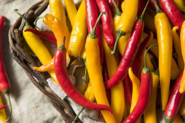 Bir sepet içinde organik çeşitli baharatlı sıcak biber