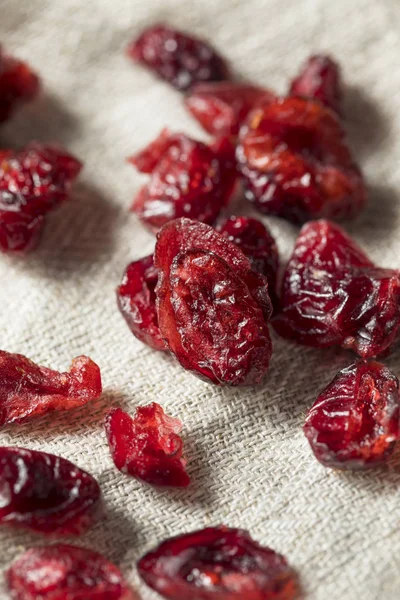 Cranberries Secas Cruas Orgânicas Uma Tigela — Fotografia de Stock