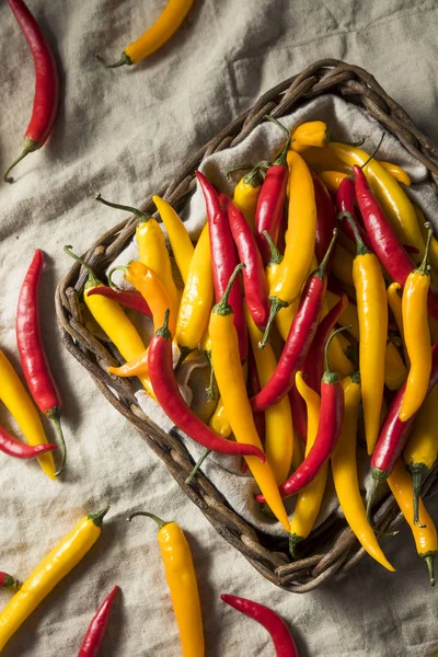 Organic Assorted Spicy Hot Peppers Basket — Stock Photo, Image