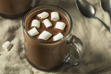 Tatlı ev yapımı çikolata sıcak kakao küçük lokum ile