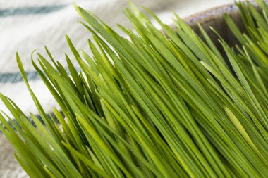 Ham yeşil Organik Buğday çimen Smoothies için