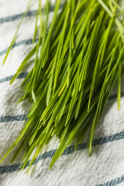 Raw Green Organic Wheat Grass Smoothies — Stock Photo, Image