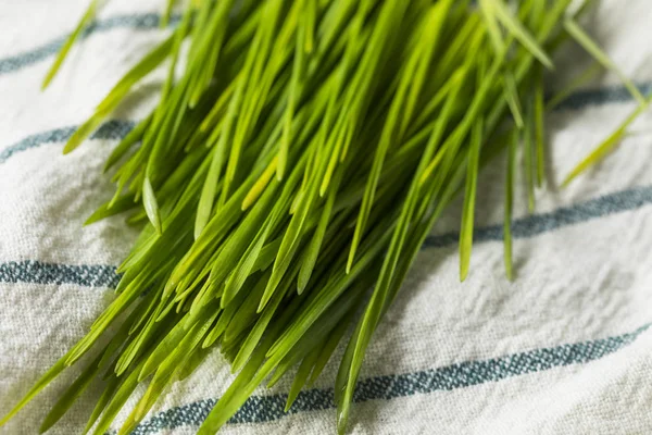 Raw Green Organic Wheat Grass Smoothies — Stock Photo, Image