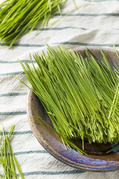 Rohes Grünes Bio Weizengras Für Smoothies — Stockfoto