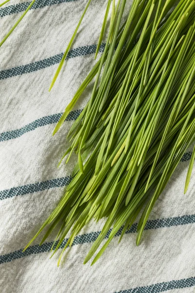 Сировина Зелена Органічна Пшенична Трава Смузі — стокове фото