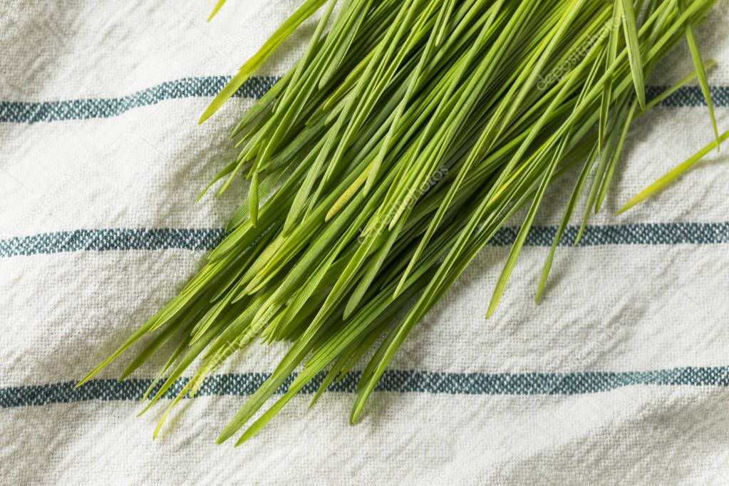 Raw Green Organic Wheat Grass for Smoothies