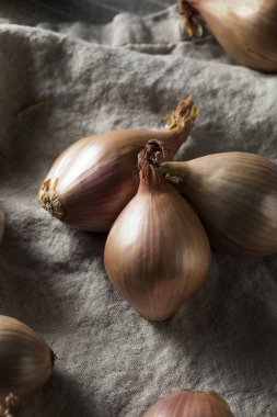 Aşçı ile çiğ mor organik arpacık hazır