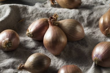 Aşçı ile çiğ mor organik arpacık hazır