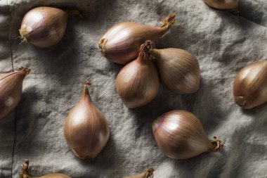 Aşçı ile çiğ mor organik arpacık hazır