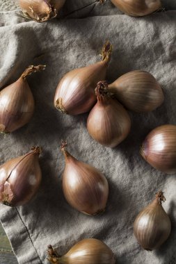 Aşçı ile çiğ mor organik arpacık hazır