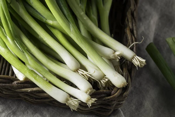 Raw Organic Green Onions Bunch — Stock Photo, Image