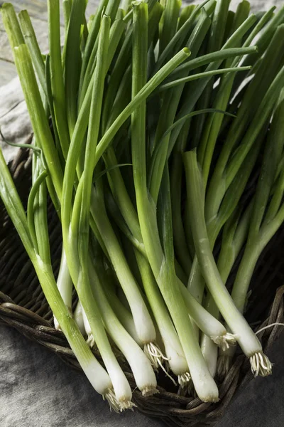 Ceapă Verde Organică Brută Într Grămadă — Fotografie, imagine de stoc