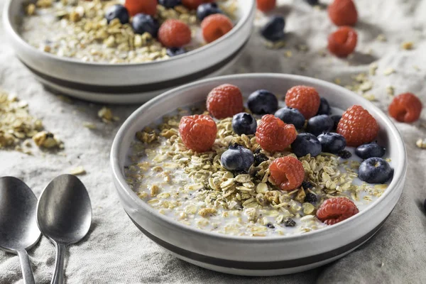 ミルクと果実を健康的な自家製ミューズリーの朝食用シリアル — ストック写真