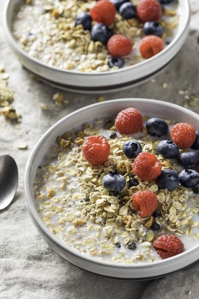 Cereal Casero Sano Del Desayuno Muesli Con Leche Bayas —  Fotos de Stock