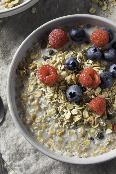 Cereal Casero Sano Del Desayuno Muesli Con Leche Bayas —  Fotos de Stock