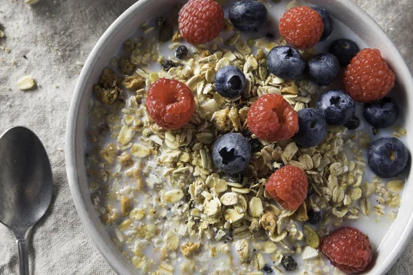 健康自制的 Muesli 早餐麦片与牛奶和浆果 — 图库照片