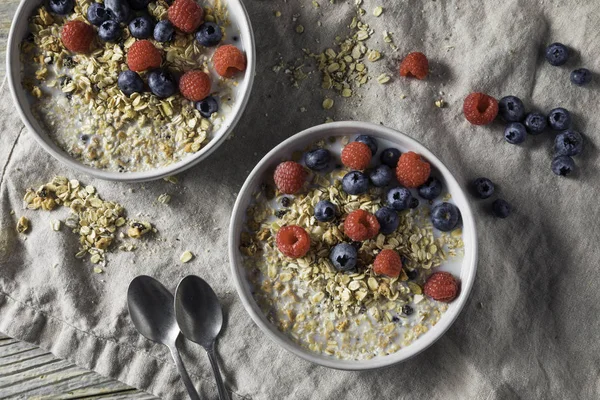 Cereal Casero Sano Del Desayuno Muesli Con Leche Bayas —  Fotos de Stock