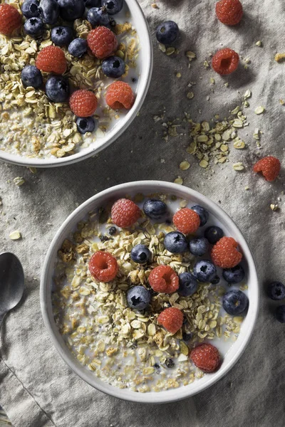 Cereal Casero Sano Del Desayuno Muesli Con Leche Bayas —  Fotos de Stock