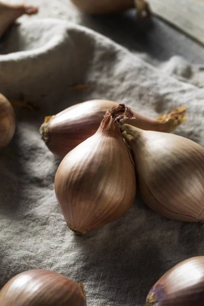 Échalotes Biologiques Violettes Crues Prêtes Cuire Avec — Photo